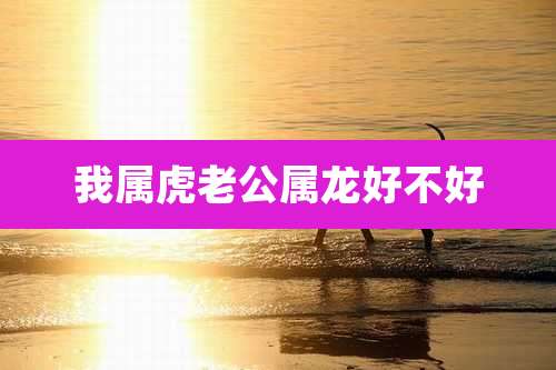 我属虎老公属龙好不好
