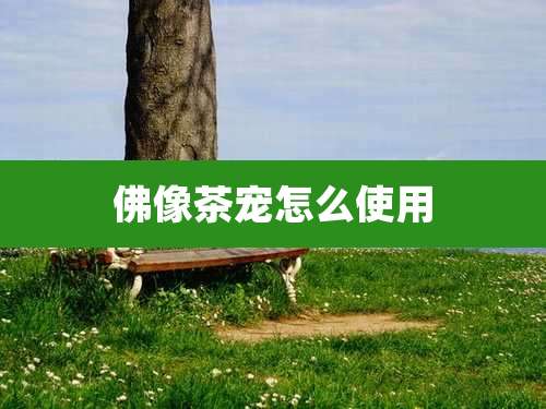 佛像茶宠怎么使用