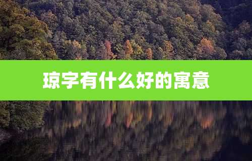 琼字有什么好的寓意