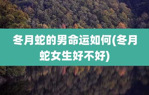冬月蛇的男命运如何(冬月蛇女生好不好)