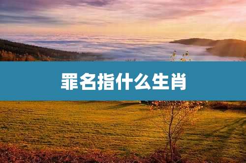 罪名指什么生肖