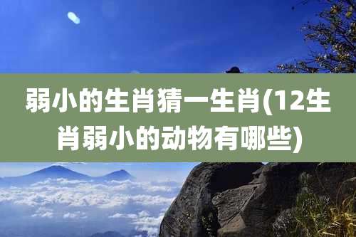 弱小的生肖猜一生肖(12生肖弱小的动物有哪些)