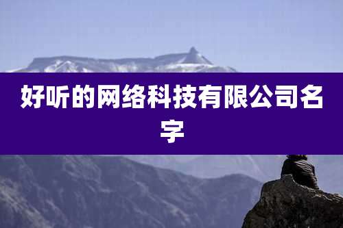 好听的网络科技有限公司名字