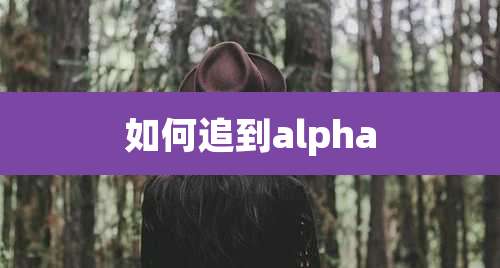 如何追到alpha