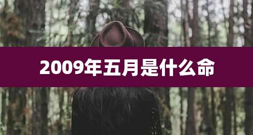 2009年五月是什么命