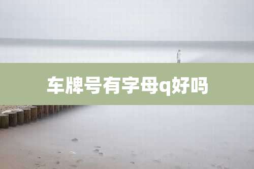 车牌号有字母q好吗