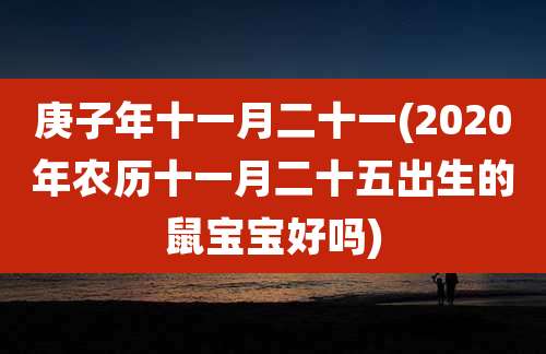 庚子年十一月二十一(2020年农历十一月二十五出生的鼠宝宝好吗)