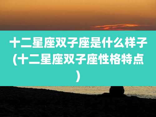 十二星座双子座是什么样子(十二星座双子座性格特点)