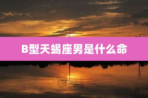 B型天蝎座男是什么命