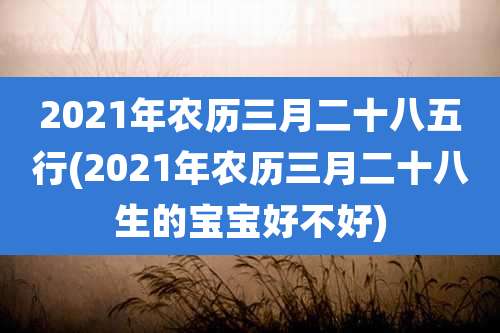 2021年农历三月二十八五行(2021年农历三月二十八生的宝宝好不好)