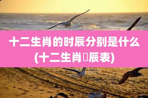 十二生肖的时辰分别是什么(十二生肖吋辰表)