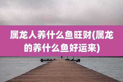 属龙人养什么鱼旺财(属龙的养什么鱼好运来)