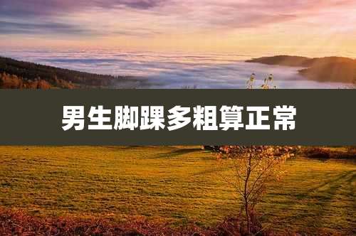 男生脚踝多粗算正常