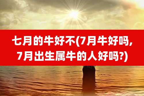 七月的牛好不(7月牛好吗,7月出生属牛的人好吗?)