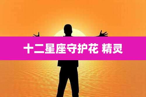 十二星座守护花 精灵