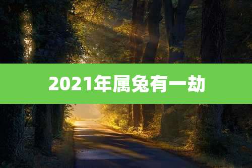 2021年属兔有一劫
