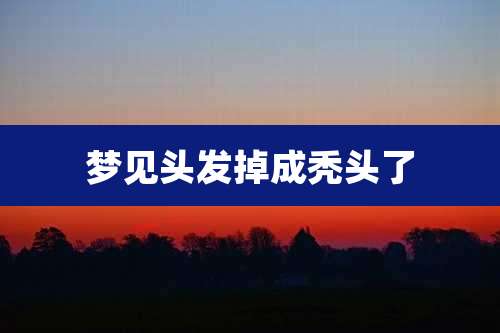 梦见头发掉成秃头了