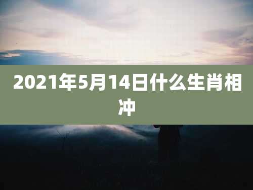 2021年5月14日什么生肖相冲