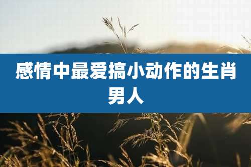 感情中最爱搞小动作的生肖男人