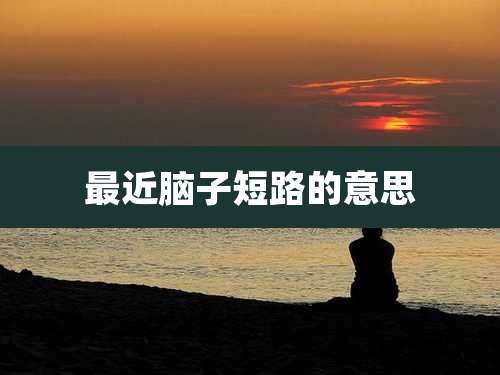 最近脑子短路的意思