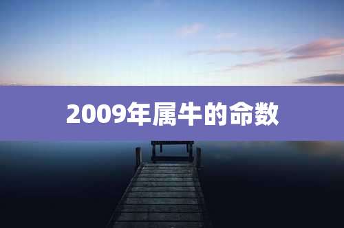 2009年属牛的命数