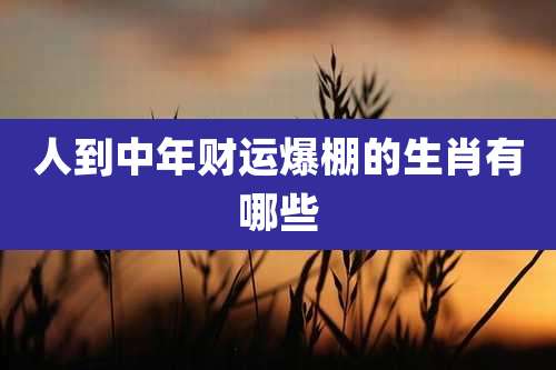 人到中年财运爆棚的生肖有哪些