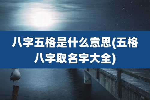 八字五格是什么意思(五格八字取名字大全)