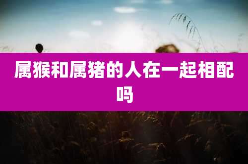 属猴和属猪的人在一起相配吗