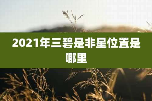 2021年三碧是非星位置是哪里