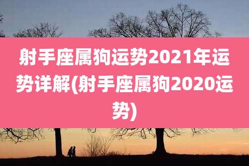 射手座属狗运势2021年运势详解(射手座属狗2020运势)