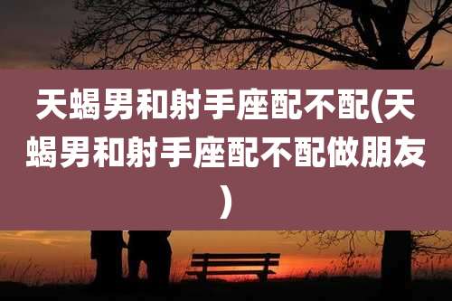 天蝎男和射手座配不配(天蝎男和射手座配不配做朋友)