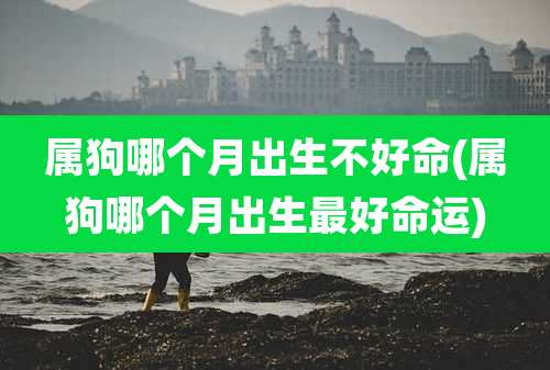属狗哪个月出生不好命(属狗哪个月出生最好命运)