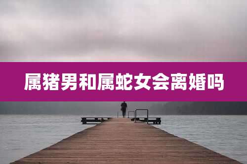 属猪男和属蛇女会离婚吗