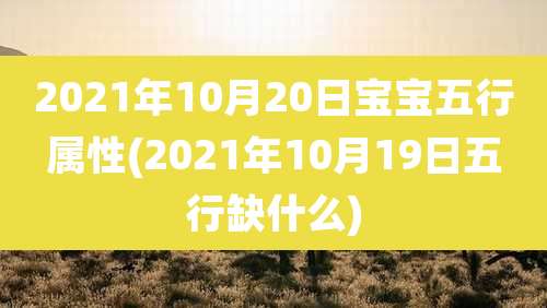 2021年10月20日宝宝五行属性(2021年10月19日五行缺什么)