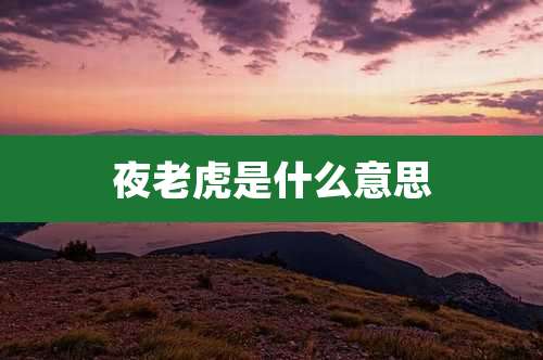 夜老虎是什么意思
