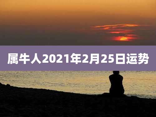 属牛人2021年2月25日运势