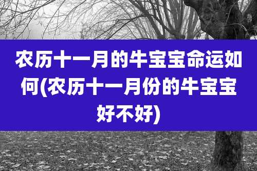农历十一月的牛宝宝命运如何(农历十一月份的牛宝宝好不好)