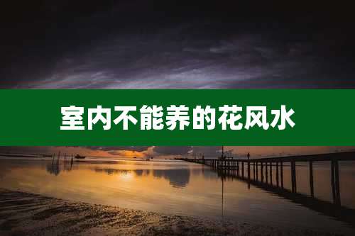 室内不能养的花风水