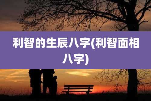利智的生辰八字(利智面相八字)