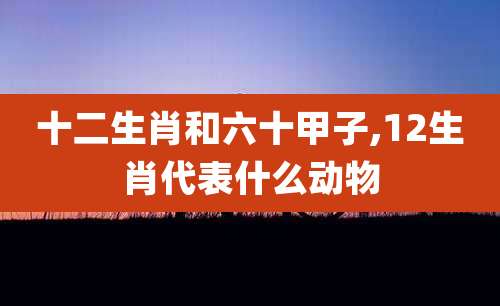 十二生肖和六十甲子,12生肖代表什么动物