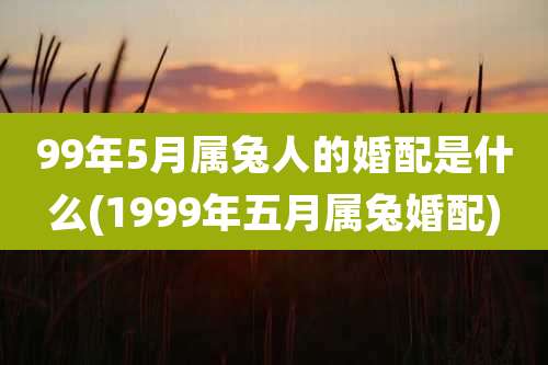 99年5月属兔人的婚配是什么(1999年五月属兔婚配)