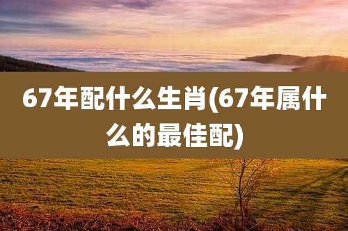 67年配什么生肖(67年属什么的最佳配)