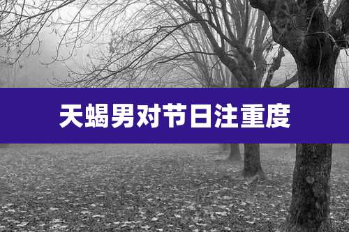 天蝎男对节日注重度