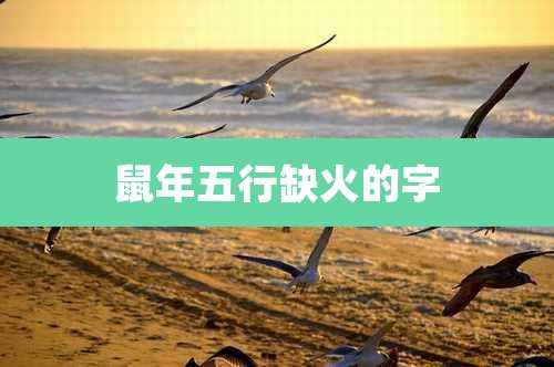 鼠年五行缺火的字