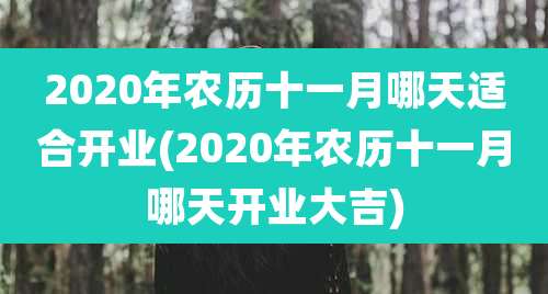 2020年农历十一月哪天适合开业(2020年农历十一月哪天开业大吉)