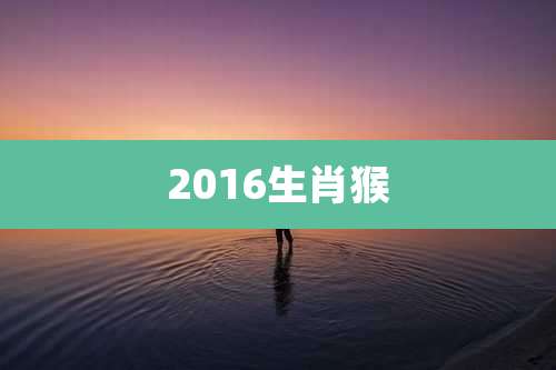 2016生肖猴