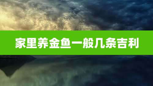 家里养金鱼一般几条吉利
