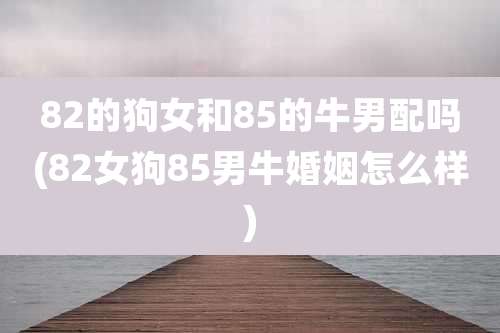 82的狗女和85的牛男配吗(82女狗85男牛婚姻怎么样)