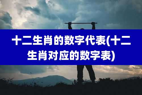 十二生肖的数字代表(十二生肖对应的数字表)