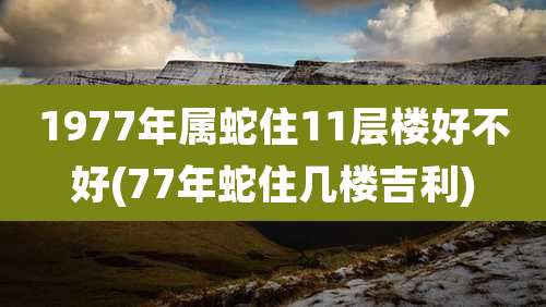 1977年属蛇住11层楼好不好(77年蛇住几楼吉利)